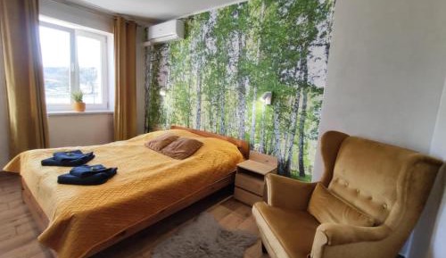 Large Double or Twin Room