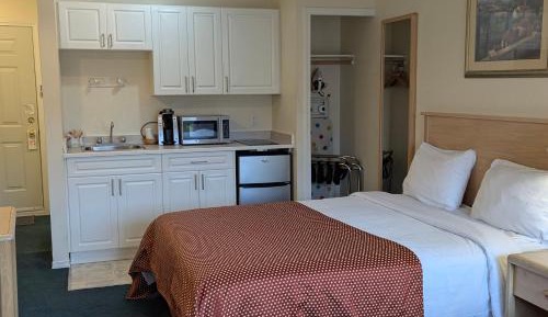 Standard Twin Room with Garden View