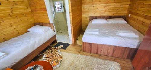 Comfort Triple Room with Shower