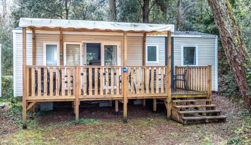 Three-Bedroom Superior Apartment