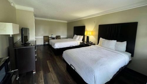 Double Room with Two Double Beds and Sofa Bed - Non-Smoking