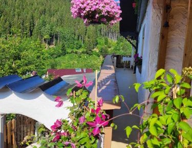 Superior One-Bedroom Apartment with Balcony
