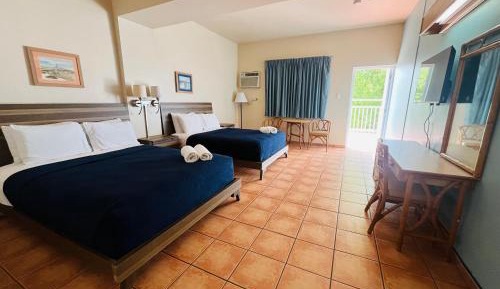 Double Room with Two Double Beds