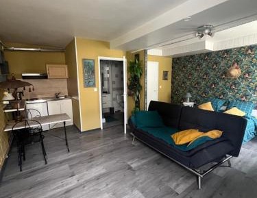 Studio with Sofa Bed