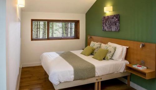 Meadow - Golden Oak (1 double and 2 twins, pet-friendly)