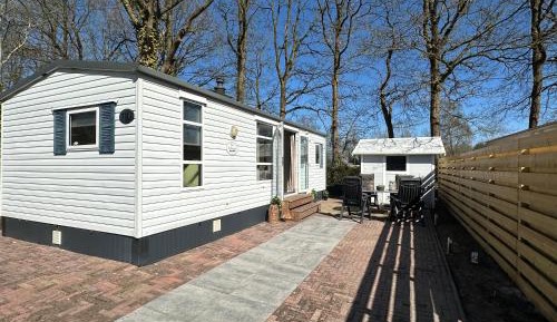 Mobile Home