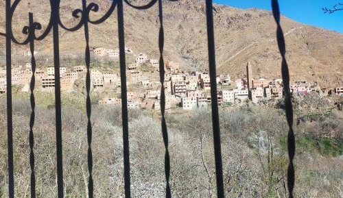 Single Bed in Mixed Dormitory Room