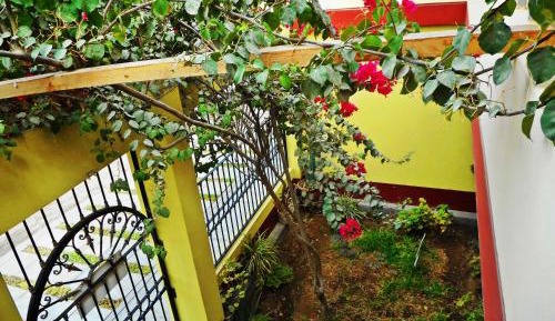 Standard Double Room with Shared Bathroom