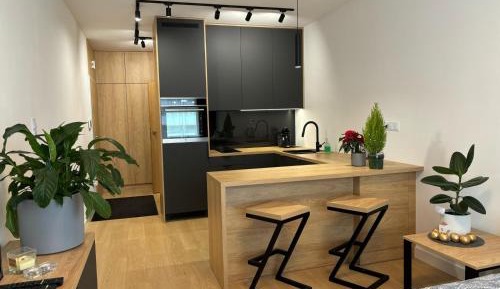 One-Bedroom Family Apartment