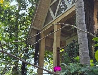 Deluxe Family Cabana with Attic 