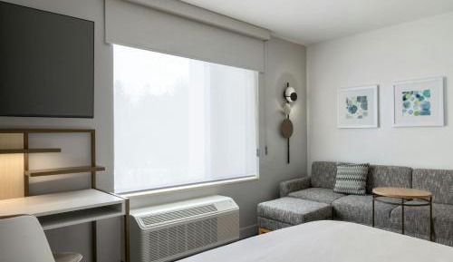 King Studio with Sofa Bed - Hearing Accessible