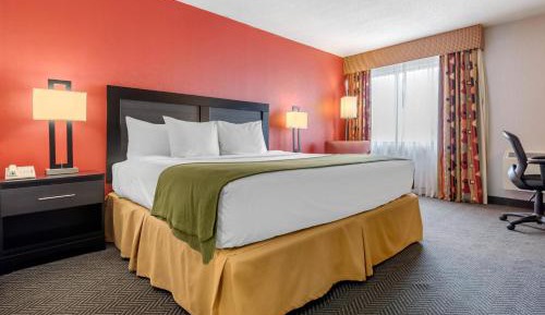 King Room
