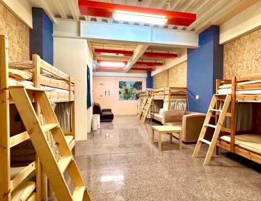 Bunk Bed in Mixed Dormitory Room