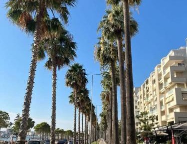 One-Bedroom Apartment with Balcony and Mountain View  