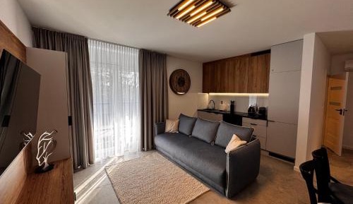 One-Bedroom Apartment with Balcony