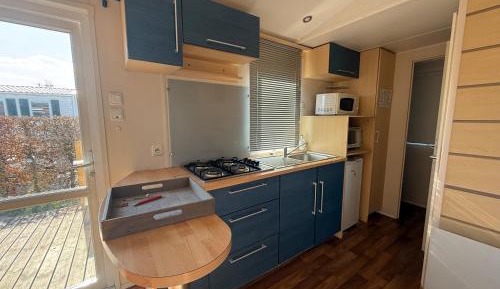 Mobile Home