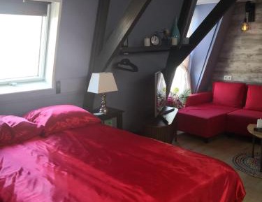 Studio with Sofa Bed