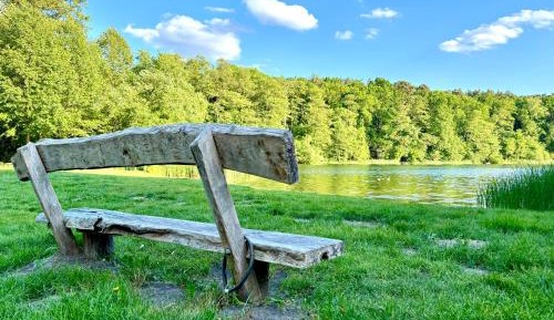 Three-Bedroom Premium Apartment with Balcony