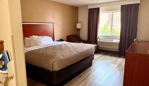 King Room - Disability Access - Non-Smoking