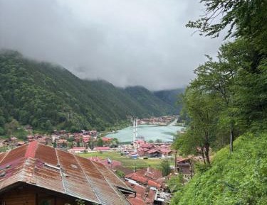 Two-Bedroom Apartment with Balcony and Lake View