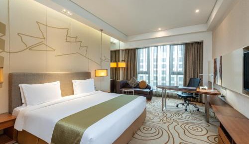 Standard King Room with City View