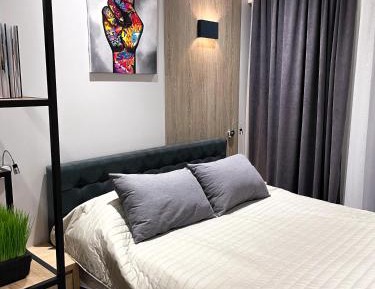 Deluxe One-Bedroom Apartment with City View