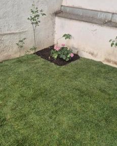 One-Bedroom Apartment with Garden