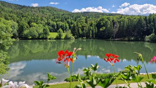 Small Double Room with Balcony