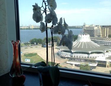 Apartment with River View