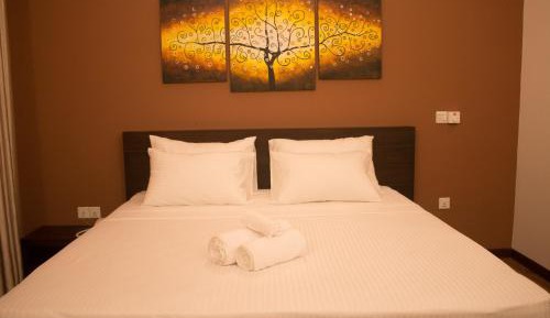 Standard  Double Room