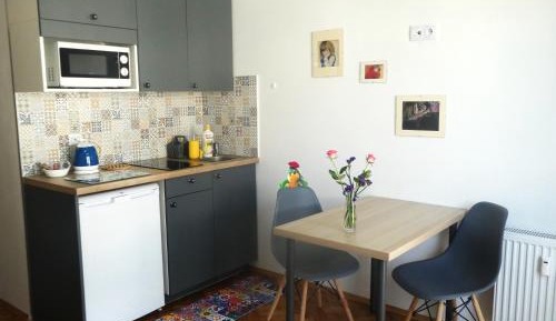 Studio Apartment