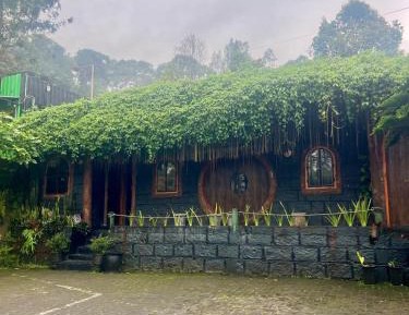 Superior Double or Twin Room with Mountain View