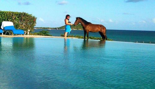 King Ocean Front w/Lanai