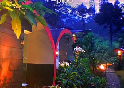 Double or Twin Room with Mountain View