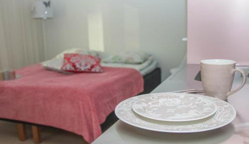 Studio Apartment with One Double Bed