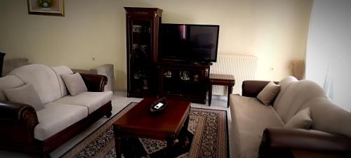 Apartment with Park View