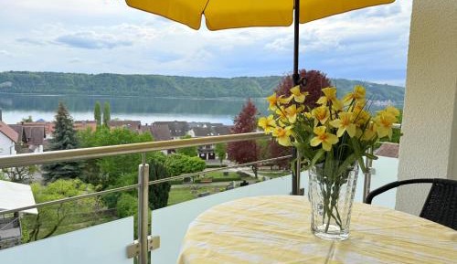 Apartment with Lake View