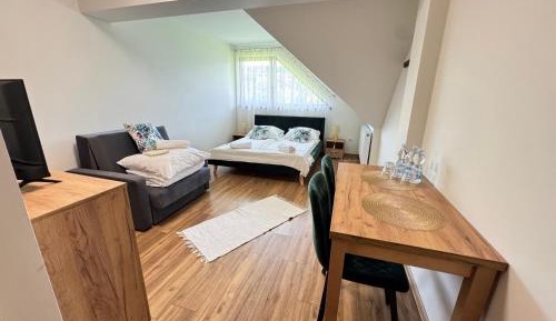 Family Room with Private Bathroom