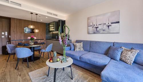Deluxe One-Bedroom Apartment