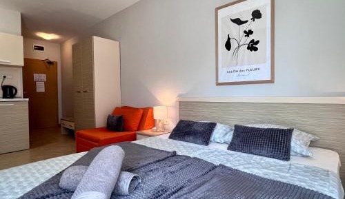 Studio Apartment with Balcony