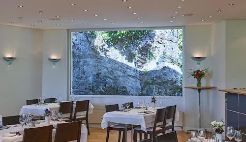 Comfort Twin Room with Park View