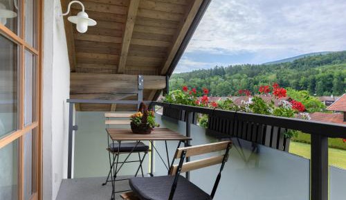 Superior One-Bedroom Apartment with Balcony