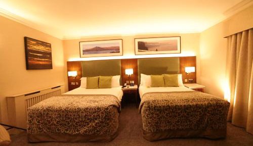 King Room
