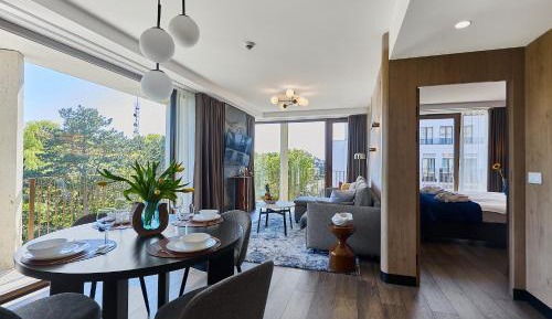 Deluxe One-Bedroom Apartment