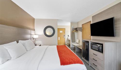 King Room with Walk-in Shower - Disability Access