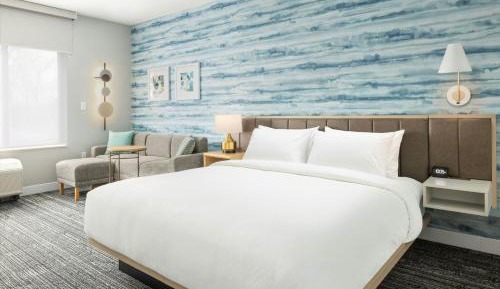 King Studio Suite with Non-Private Sofa Bed - Mobility Accessible with Roll-In Shower