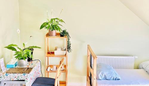 Standard Double Room with Shared Bathroom