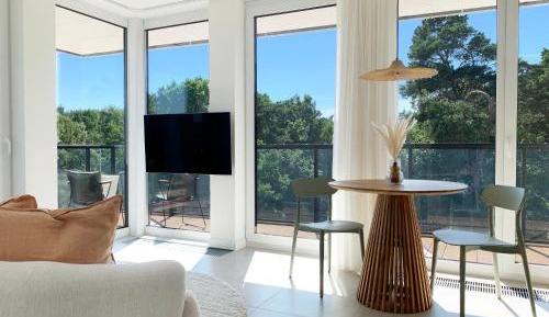 One-Bedroom Apartment with River View