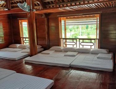 Mixed Dormitory Room