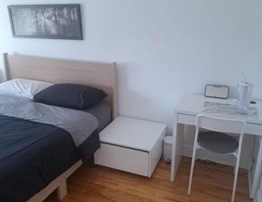 Deluxe Room (2 Adults + 1 Child)